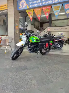 Kawasaki W175 TR SE 2022, Wildan Sanjaya Motor Bandung