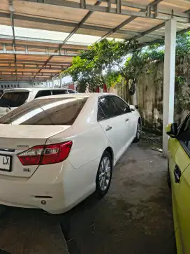 Camry hybrid 2014 pajak panjang plat baru