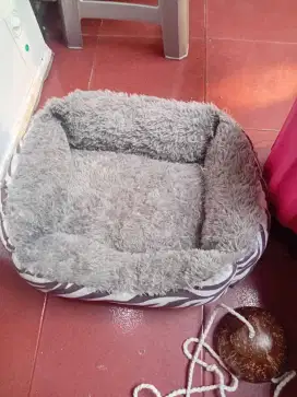 Tempat tidur kucing