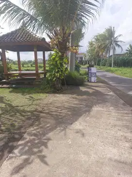 Dijual Tanah luas 4,5 are mengwi