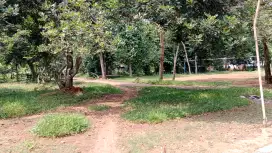 Jual tanah kebun