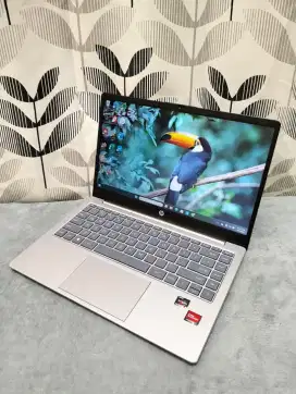 LAPTOP HP 14 EM0