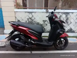 FREEGO 2019 STANDAR