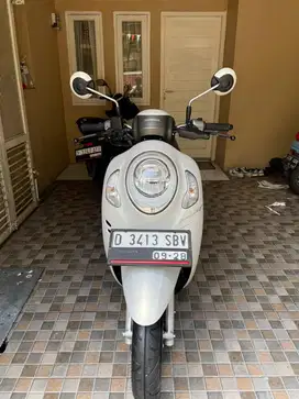 Scoopy pretige keylles 2023