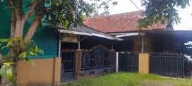 Rumah Asri Luas 10 Mnt ke Yogya Grand Dramaga Dibantu KPR J-31739