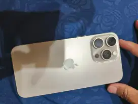 15 promax 256 gb second