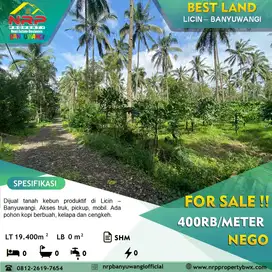 Dijual Tanah Kebun Produktif di Tamansari, Licin - Banyuwangi