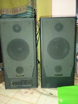 Speaker Fullbass merk spirit