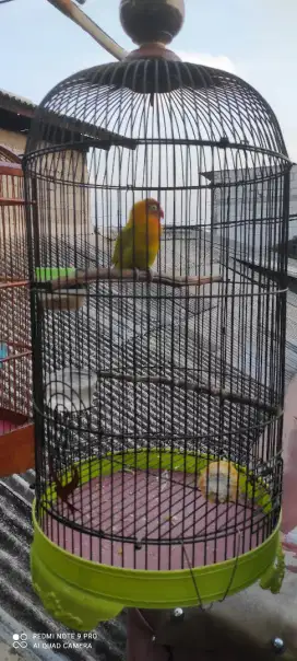 sangar besi beserta isi