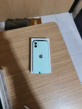 iPhone 12 256 Inter