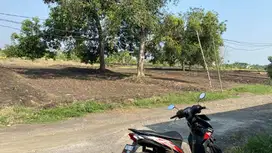 HOT ITEM! TANAH UNTUK PROYEK KAVLING SURABAYA BARAT