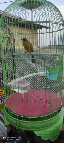 sangkar besi beserta isi