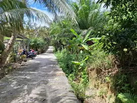 Tanah murah daerah kulim19x20m, siap Bangun, 120m dari jalan Lintas