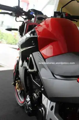 Minerva Xroad Limited Edition