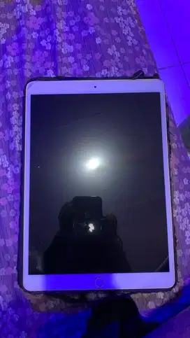 ipad pro 2017 256gb