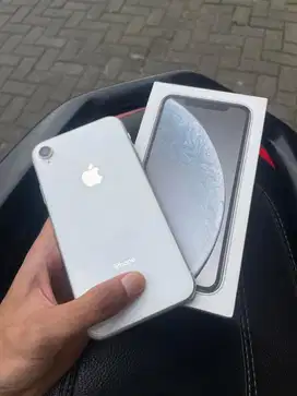 Iphone Xr 128gb resmi ibox