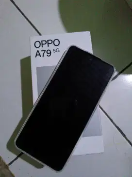 OPPO A79 5G 8/256