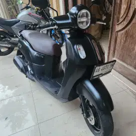 Fazzio hitam doff lux gbm bisa tunai atau kredit