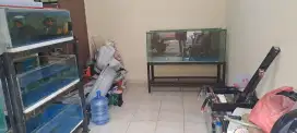 Aquarium 150x60x60 full 12ml full set