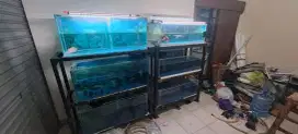 Aquarium tiga tingkat full set tinggal isi air