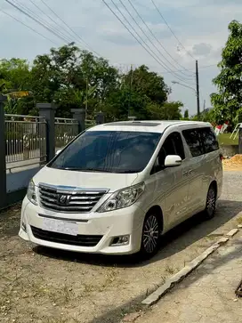 Alphard pilot seat 2012