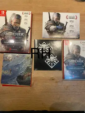 The Witcher 3 Wild Hunts Nintendo Switch