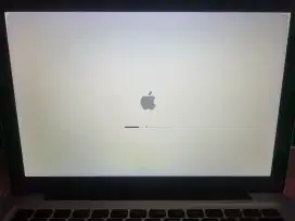 FS : Macbook Pro Mid 2010