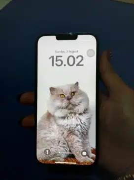 Iphone 13 Promax 256Gb ios 18.5 Ex Gra Inter