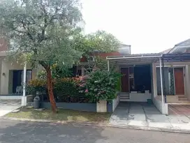 Rumah Siap Huni Di Ivy Park Citraland Bsb