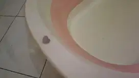 Bak mandi anak lipat