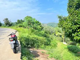 Dijual kebun alpukat & durian + sawah di Jasinga, Bogor. SHM & SPPT