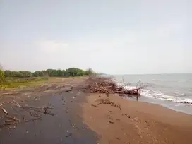 Lahan Kasepuhan Batang, samping bibir pantai nyeni, zona industri