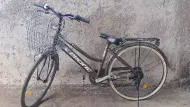 Sepeda keranjang perempuan