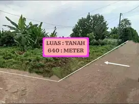 TANAH MURAH DAN STRATEGIS DI DESA PABUARAN KECAMATAN KEMANG BOGOR