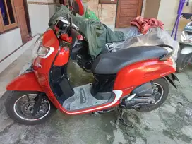 Dijual guyss Honda tangan pertama