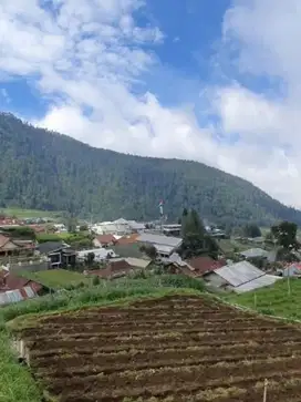 Tanah Tawang Mangu 1964Mt, Ld 28Mt, Gondosuli, Karang anyar