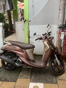 FINO 2018 COKLAT! NEGO