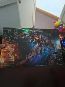 Tian wei Metal Build 1/100 Mulus