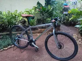 Sepeda MTB 26 Alloy Polished Raw