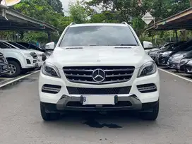 MERCEDES BENZ ML250 CDI SOLAR AT PUTIH 2015
