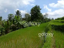 DIJUAL TANAH BR PAKA SANDA PUPUAN TABANAN, BALI