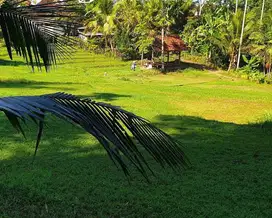 (K93) TANAH STRATEGIS COCOK UNTUK PERUMAHAN