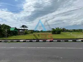 Dijual tanah komersil dekat tanah lot Tabanan bali