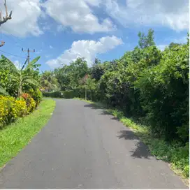 jual tanah kebun tabanan 10are utara pasar bajera