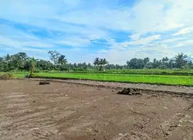 Tanah View Asri Area Palagan, Utara Masjid Suciati