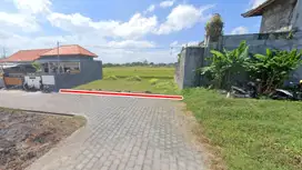 Di jual tanah di Jl Mawar, Kediri, Tabanan