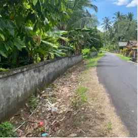 jual tanah kebun bajera selemadeg 18are