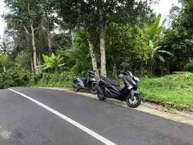 Dijual tanah kebun selemadeg tabanan