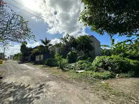 Dijual Tanah 2 Are Di Jalan Dewi Drupadi Munggu Dekat Jalan Utama