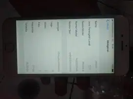 iPhone 6 32gb mulus nominus IOS 12
